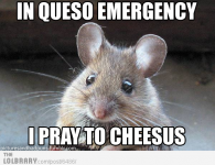 in-queso-emergency-i-pray-to-cheesus-6486.png