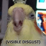 Disgusted birb.png