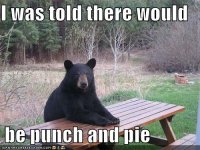 i-was-told-there-would-be-punch-and-pie-bear.jpg