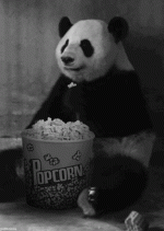 342px-Panda_eating_popcorn.gif