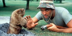 o-BILL-MURRAY-CADDYSHACK-facebook.jpg