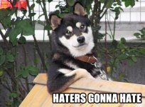 haters-gonna-hate-cool-dog.jpg