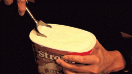 giphy.gif