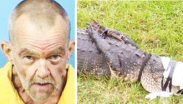 florida-man-arrested-for-having-sex-with-an-alligator2.jpg