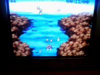 IMG_20150719_201907.jpg IMG_20150719_201907.jpg