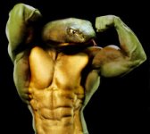 Snake_Muscle_by_ripped_saurian.jpg