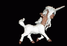 PM_unicorn_rotate2_zpsc6qrgejz.gif