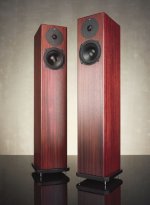 totem-sttaf-speakers-mahogany.jpg
