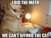 i-did-the-math-we-cant-afford-the-cat.jpg