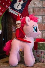 Elf-on-the-Shelf-7.jpg