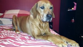 20170226_203155.jpg 20170226_203155.jpg