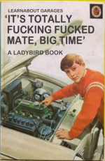 A Ladybord book.png