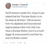 Trumps Button.jpg