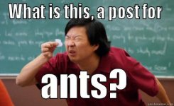 post for ants.jpg