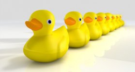 Photo-of-rubber-ducks-in-a-row.jpg