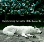Ghost During Game of Thrones.png