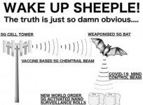 sheeple.jpg