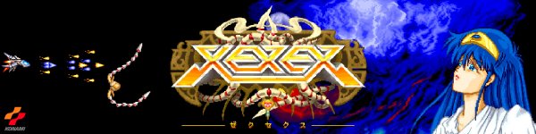 Xexex Label.jpg