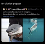 Screenshot 2022-02-12 at 07-03-51 FVESKAyh jpg (JPEG Image, 1024 × 1014 pixels) — Scaled (76%).png