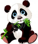panda-eating-bamboo-13591256.jpg