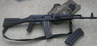 saiga223.jpg