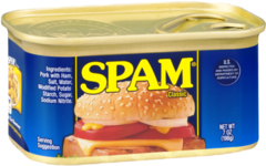 pngfind.com-spam-png-6758680.png