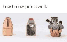 5ed311.png 5ed311.png