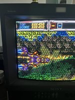 IMG_4432.jpeg
