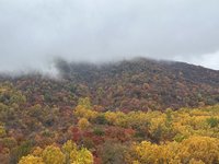 IMG_9624.JPEG