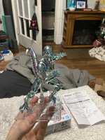 IMG_4716.jpeg