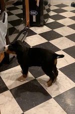 IMG_4132.jpeg