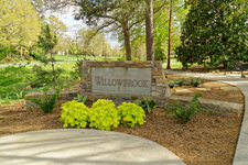 IMG_4878DXOSmall new.jpg