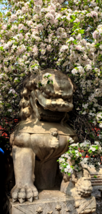 屏幕截图 2024-05-01 171729.png