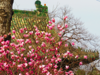 屏幕截图 2024-05-01 172220.png