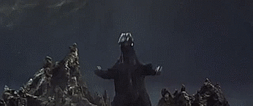 IMG_5729.gif