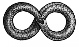 1717597614397.png