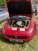 IMG_8601.jpeg