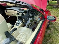 IMG_8602.jpeg