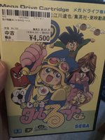 IMG_9678.jpeg