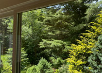 IMG_713A568A4FC6-1.jpeg IMG_713A568A4FC6-1.jpeg