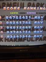 IMG_7656.jpeg