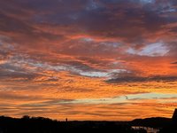 IMG_3212.jpeg