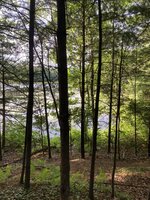 IMG_1458.jpeg