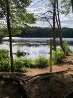 IMG_1461.jpeg
