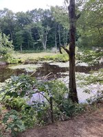 IMG_1477.jpeg