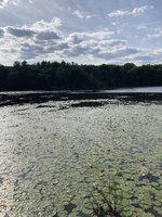 IMG_1478.jpeg