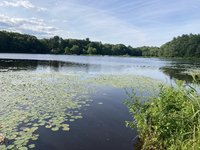IMG_1482.jpeg