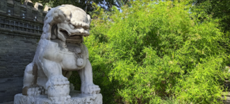 屏幕截图 2024-07-07 065207.png