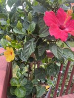 IMG_2887.jpeg