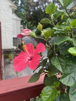 IMG_2889.jpeg